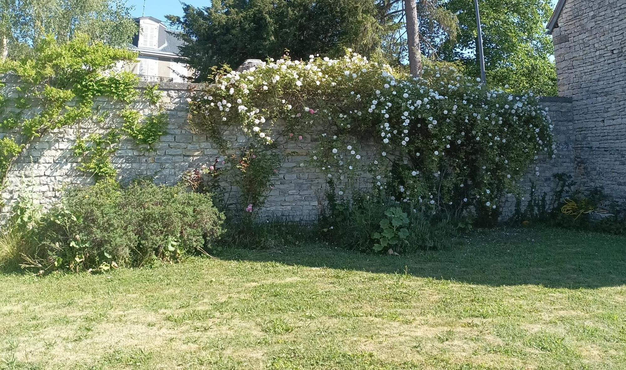 Bed and Breakfast Chez Zaza Stigny Екстер'єр фото